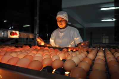 No existe diferencia nutricional entre los huevos de cáscara marrón o blanca, la diferencia sí existe en lo que cuesta producir, ya que las gallinas blancas consumen casi 30 g menos.