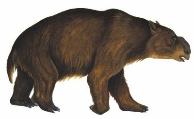 Imagen sin descripción