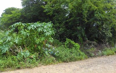 /pf/resources/images/abc-placeholder.png?d=2394