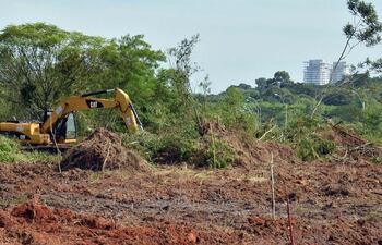 ayer-varios-tractores-de-la-firma-dc-ingenieria-depredaban-parte-del-parque-guasu-para-construir-las-piletas--195702000000-1583766.jpg