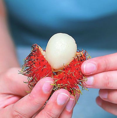 Imagen sin descripción