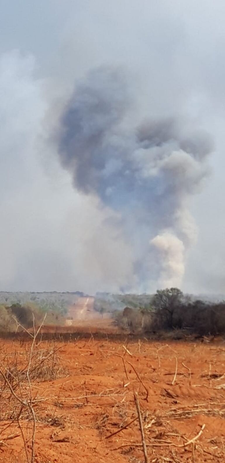Los combatientes contra el fuego tuvieron que despejar una gran franja boscosa, lo que logró finalmente frenar el fuego.