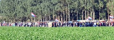 El auge de invasiones campesinas afecta tanto a propiedades con reservas forestales como a aquellas con reforestación y cultivos.