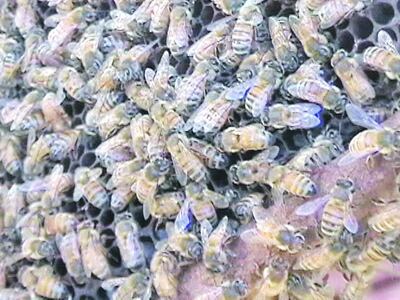 /pf/resources/images/abc-placeholder.png?d=2421