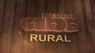 /pf/resources/images/abc-placeholder.png?d=2421