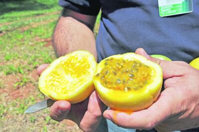 /pf/resources/images/abc-placeholder.png?d=2421