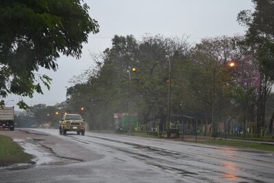 La lluvia beneficia a los cultivos de renta.
