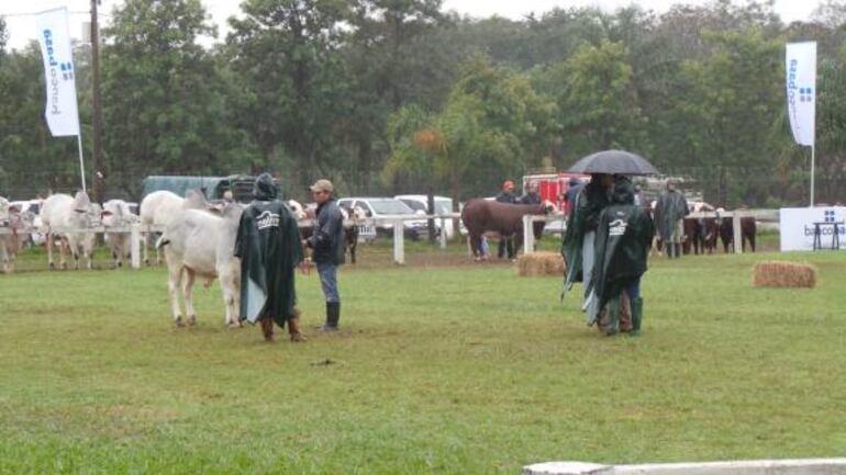 /pf/resources/images/abc-placeholder.png?d=2419