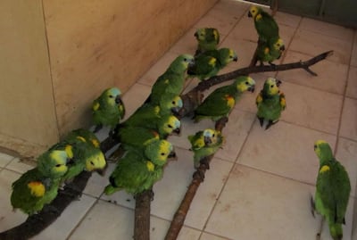 /pf/resources/images/abc-placeholder.png?d=2419