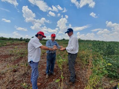 Juan Manuel Ferrarotti, director general de BAUP, Dr. Dorival Vicente, breeder del programa de mejoramiento BAUP, y el Ing. Martín Mariani Ventura, CEO de la empresa Verdeca.