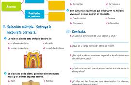 al-llegar-el-final-del-ano-escolar-se-hace-necesario-realizar-una-buena-revision-de-los-temas-que-se-desarrollaron-a-lo-largo-del-mismo-estas-activid-220710000000-1523122.jpg