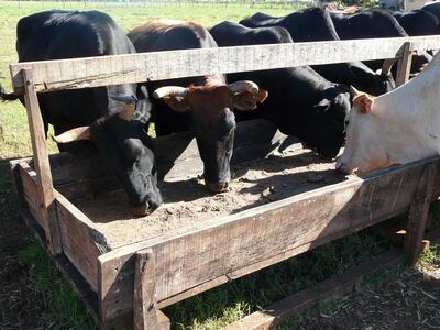 /pf/resources/images/abc-placeholder.png?d=2424