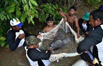 La pesca pone en peligro la biodiversidad (Imagen de archivo).