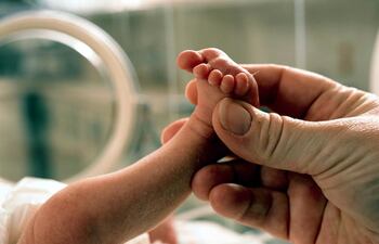 prematuros-cuidados-para-la-supervivencia-44854000000-1411095.jpg