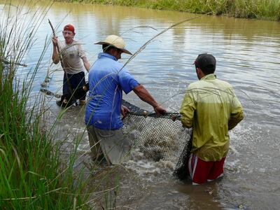 /pf/resources/images/abc-placeholder.png?d=2420