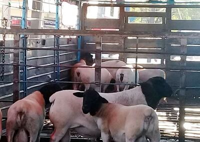 /pf/resources/images/abc-placeholder.png?d=2430