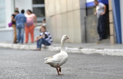 /pf/resources/images/abc-placeholder.png?d=2421