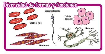 /pf/resources/images/abc-placeholder.png?d=2428