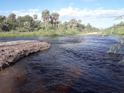 /pf/resources/images/abc-placeholder.png?d=2417