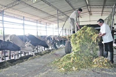 /pf/resources/images/abc-placeholder.png?d=2419