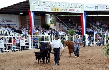 desfile-de-los-animales-premiados-en-el-ruedo-central-del-campo-de-exposicion-rodeo-trebol-cuya-inauguracion-se-realizo-ayer-de-nuevo-sin-la-presenc-202654000000-1619567.jpg