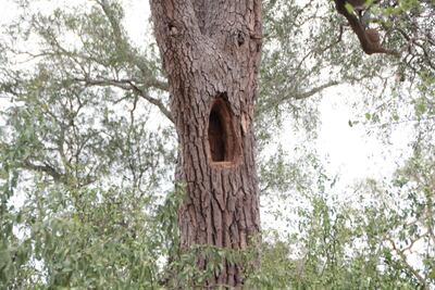 /pf/resources/images/abc-placeholder.png?d=2421