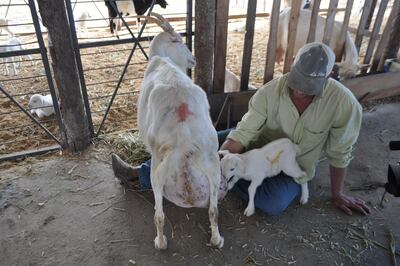 /pf/resources/images/abc-placeholder.png?d=2399