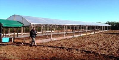 Construcción y manejo de invernaderos, es uno  de los bloques de este Programa.