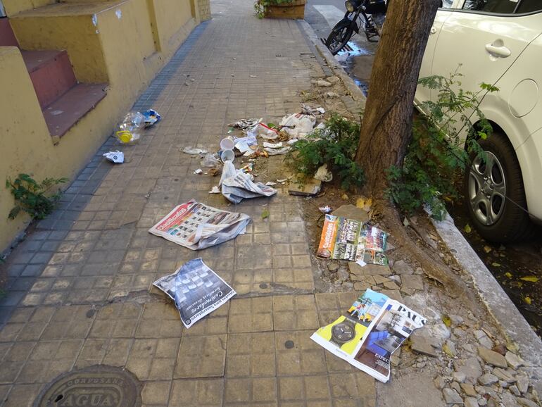 Basural sobre presidente Franco.