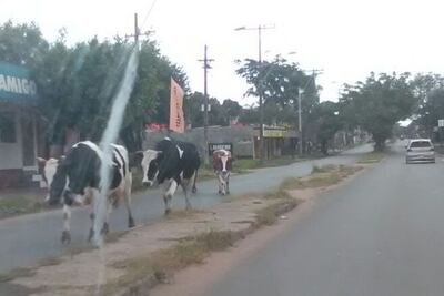 /pf/resources/images/abc-placeholder.png?d=2393