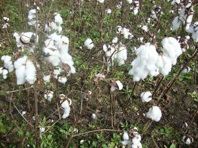 /pf/resources/images/abc-placeholder.png?d=2425