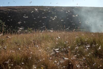 /pf/resources/images/abc-placeholder.png?d=2425