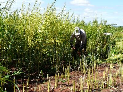 Imagen sin descripción
