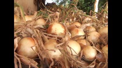 /pf/resources/images/abc-placeholder.png?d=2421