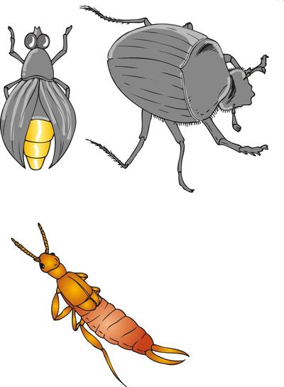 /pf/resources/images/abc-placeholder.png?d=2421