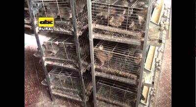 Imagen sin descripción