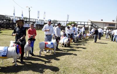 /pf/resources/images/abc-placeholder.png?d=2395