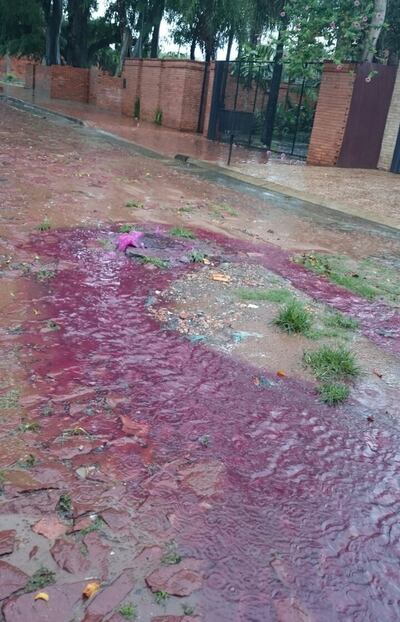 /pf/resources/images/abc-placeholder.png?d=2393