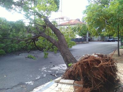 /pf/resources/images/abc-placeholder.png?d=2402