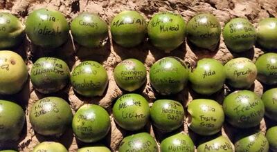 /pf/resources/images/abc-placeholder.png?d=2420