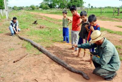 /pf/resources/images/abc-placeholder.png?d=2395