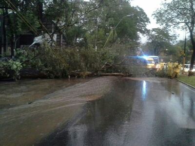 /pf/resources/images/abc-placeholder.png?d=2417