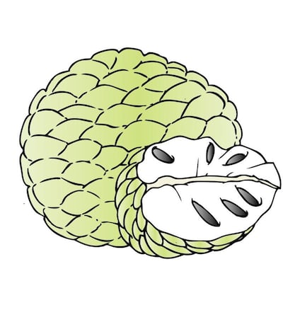 /pf/resources/images/abc-placeholder.png?d=2422