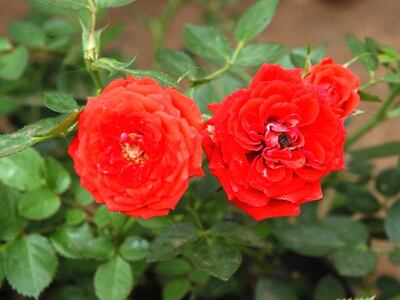 /pf/resources/images/abc-placeholder.png?d=2395