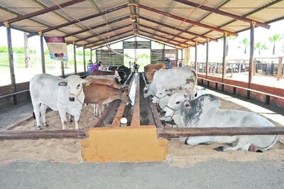 /pf/resources/images/abc-placeholder.png?d=2430