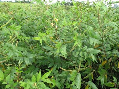 /pf/resources/images/abc-placeholder.png?d=2420