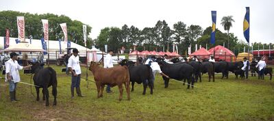 Guairá: la Expo que llegó al  millón de dólares