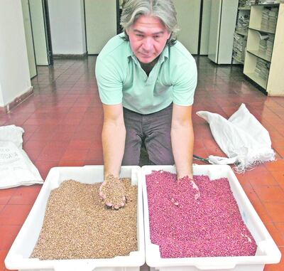 /pf/resources/images/abc-placeholder.png?d=2427