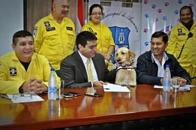 /pf/resources/images/abc-placeholder.png?d=2394