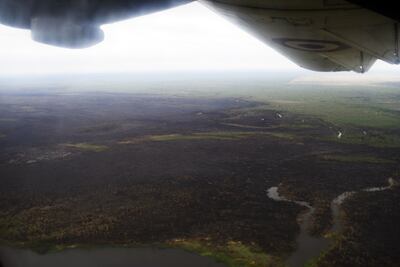 Vista del territorio Chaqueño, tras los incendios en el Pantanal.